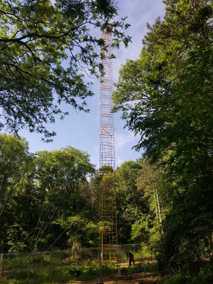 Landscape Ecology and Ecosystem Science Lab tweet media