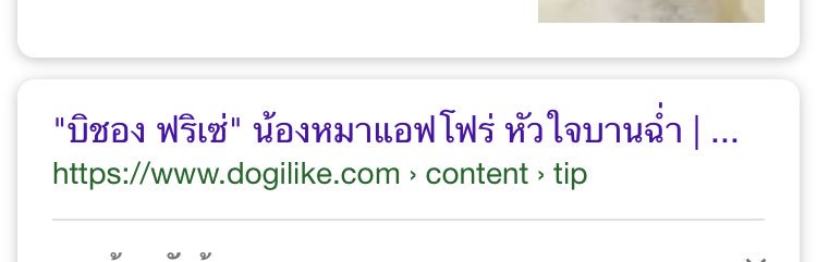 ลูซ tweet media