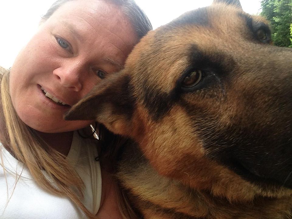gsrescueelite's tweet photo. 6yr old Akeela has been with us since March 17, a steady lad who walks well with other #dogs but needs to be the only pet in the home please
#woofwoofwednesday
#Cornwall
https://t.co/rwA3WKTypb https://t.co/PqNfg98UAX