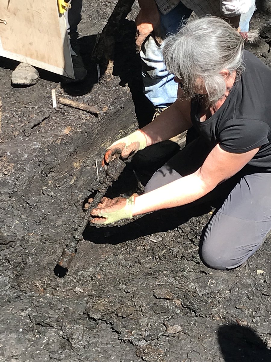 Back to my archaeological roots (literally!) today! On-site in the beautiful setting of #blackloch to discuss the challenges of #waterloggedwood #conservation Wonderful @aocarchaeology @WhithornTrust @HistEnvScot #HESsupported excavation!