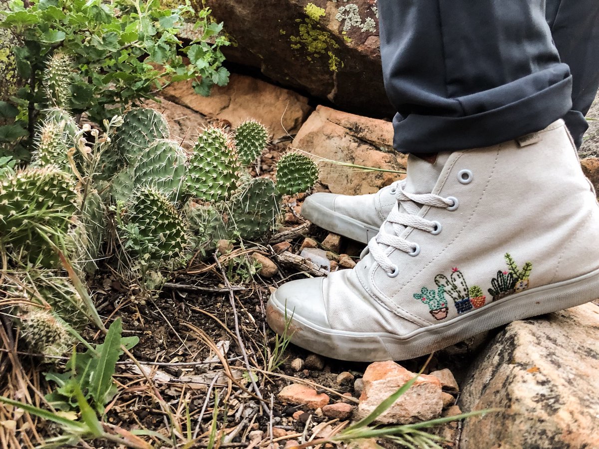 katiebonack's tweet photo. I’m a succa for succulents #bangsblitz @BangsShoes https://t.co/ZZgxfGZWJo