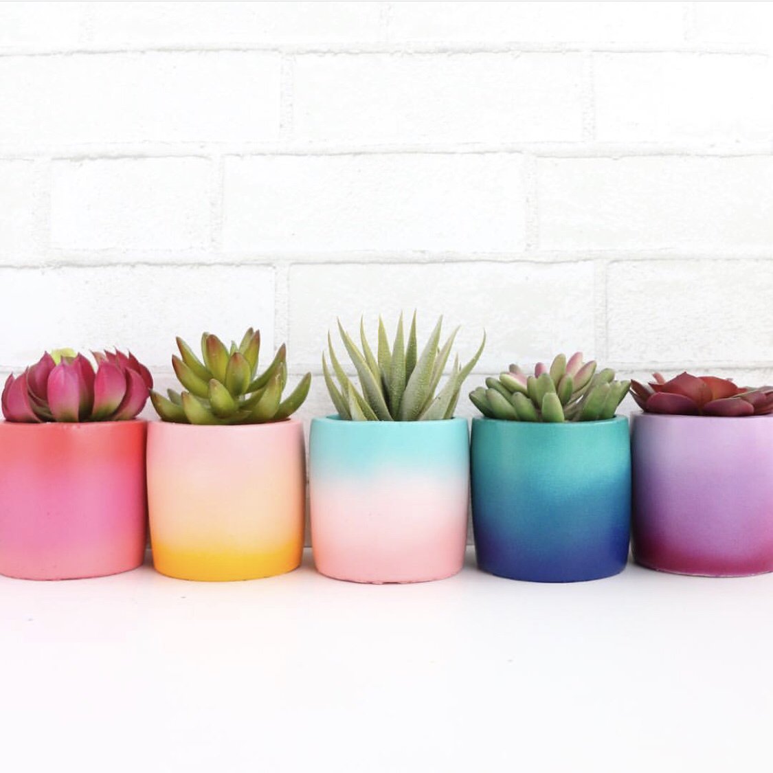 curagoapp's tweet photo. A #customized view of your daily line up? Yes please! #CURAGO offers a rainbow of color choices that allows you to pick your most pleasant calendar theme. 🌈💎😍
Image: @kailochic https://t.co/cKlTqJz8ro