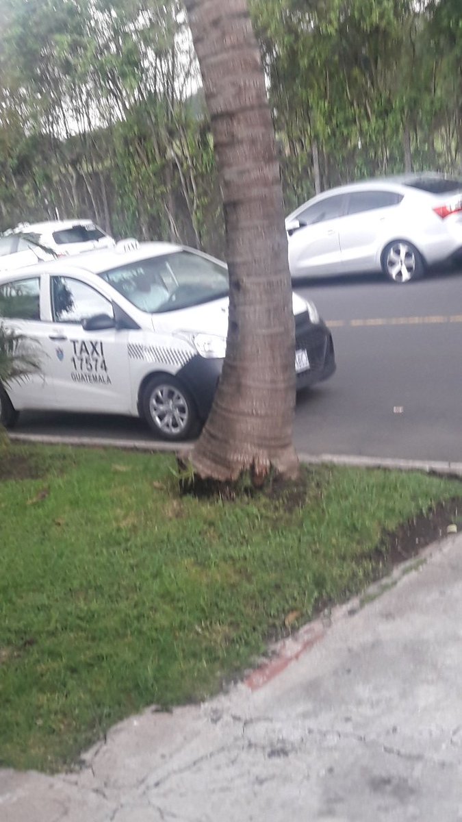 Dsolis45Solis's tweet photo. @pnc el chofer del taxi No.17574 amenazó de muerte a Sra en con Kaminal Juyu 1 zona 7 enfrente de las Rutinas de k Juyu por pedirle que no orinara en su jardín https://t.co/97hByz1BKb