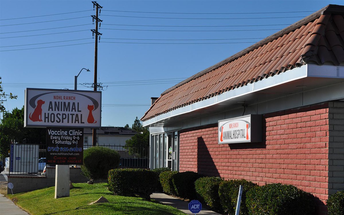 nohlranchanimal's tweet photo. Best pet clinic in Orange
We provide excellent service with reasonable prices. Your pet health &amp; safety are our primary concern. 
Check the full post: https://t.co/Jz4GcQG9P3
Call us to set up an appointment today: (714)921-2495
#pet #vet #vetclinic #animalhospital #dog #cat https://t.co/RofKfn8MkX