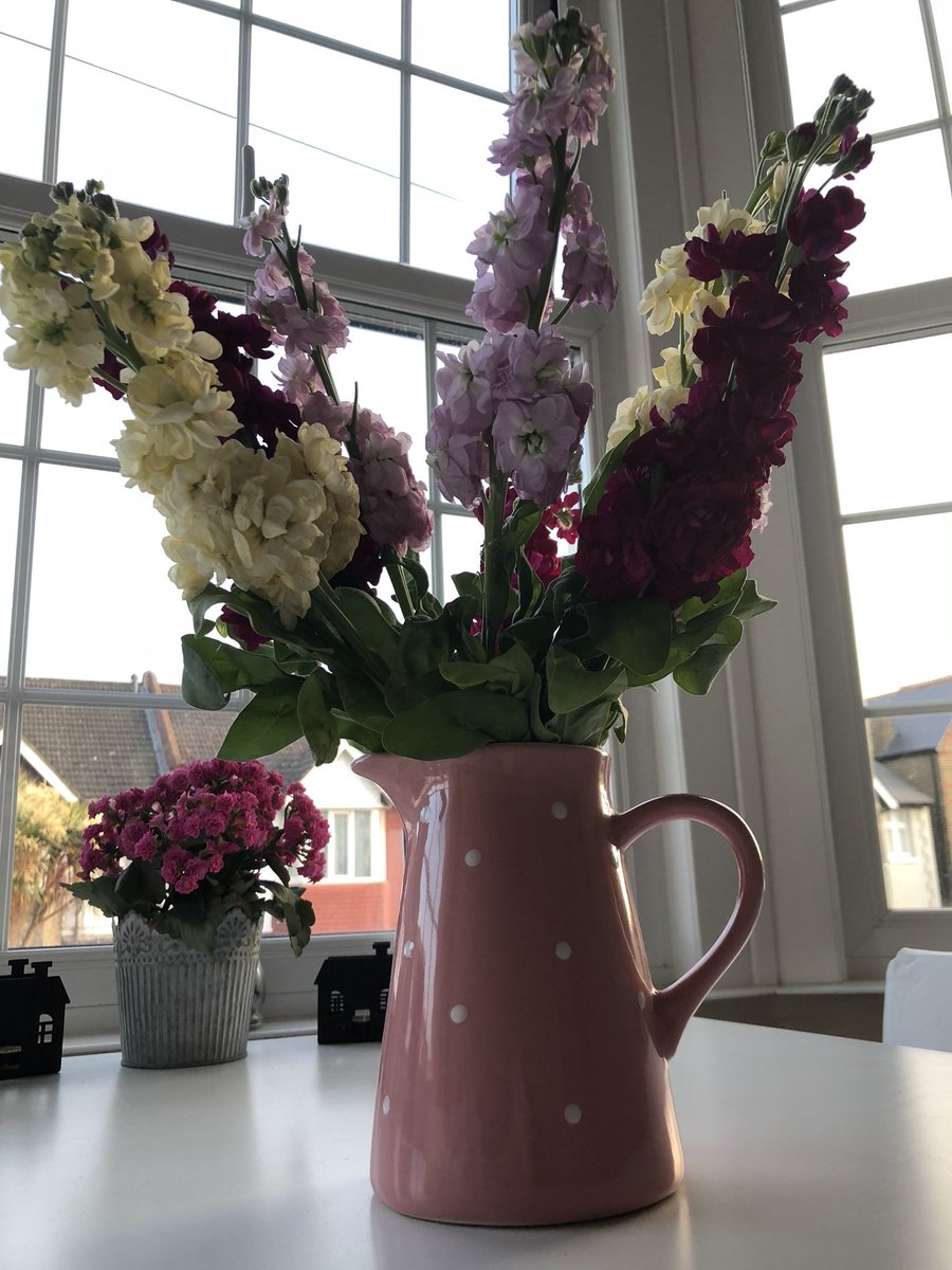 gwebm's tweet photo. Thank you for the beautiful flowers and looking after us so well as always today 😁 @freereed59 @Roehamptonroo @RoehamptonUni https://t.co/Er4I5fhksm