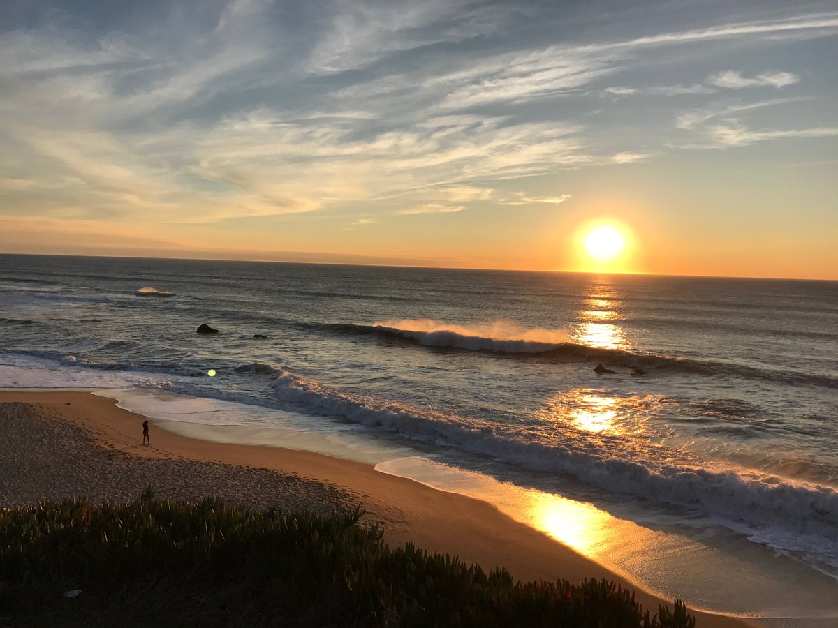 JacksonDobb tweet media