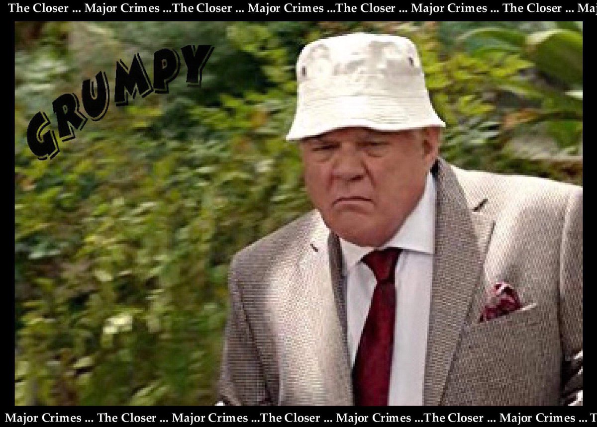 bridgette_TN's tweet photo. I donβt know what Flynn is talking about... this is my happy face! πππ Happy #MrGrumpyDay #LtProvenza #TheCloser #MajorCrimes #GWBailey https://t.co/cf40Euo1qH