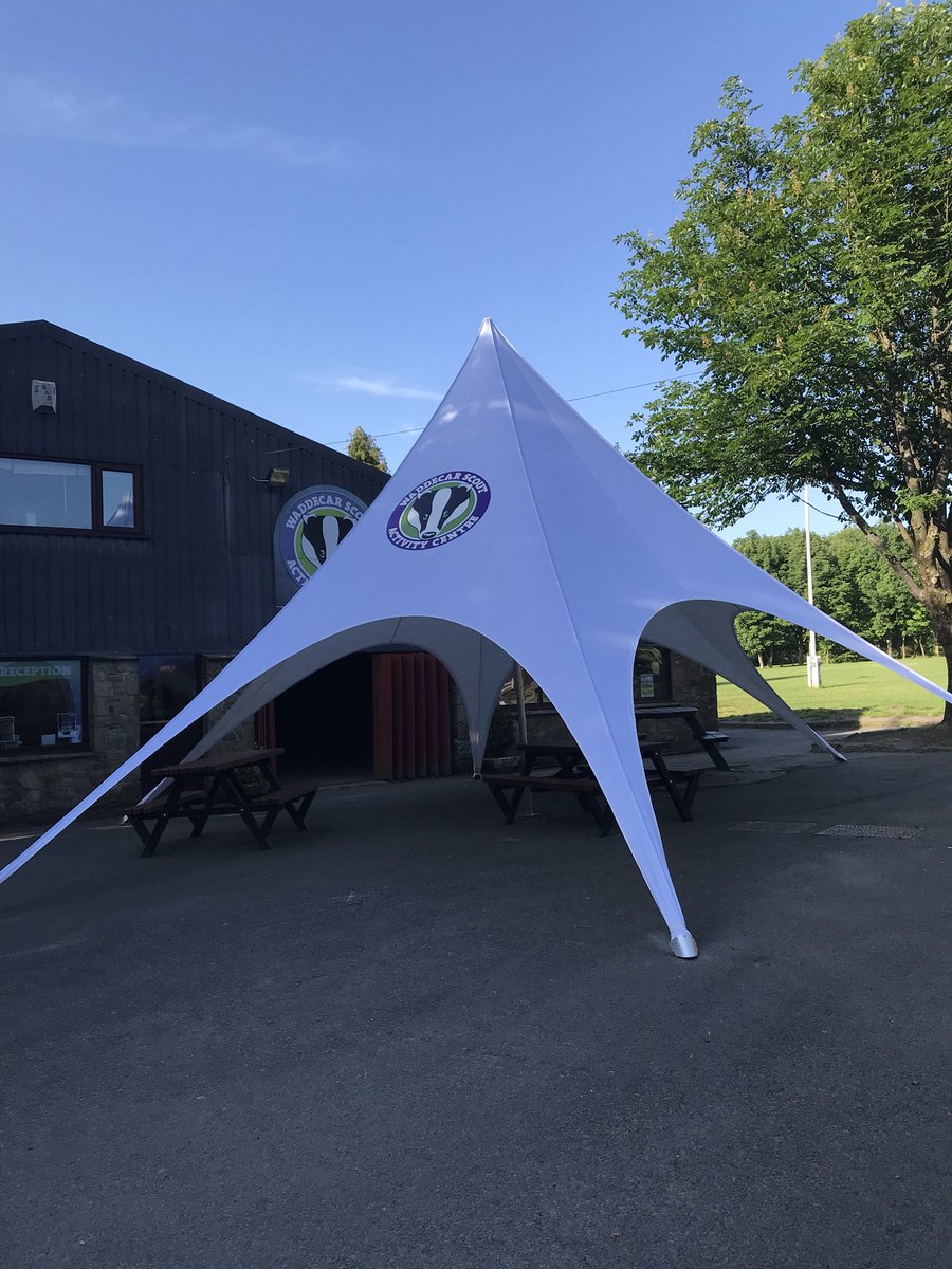 Ollie Wood tweet media