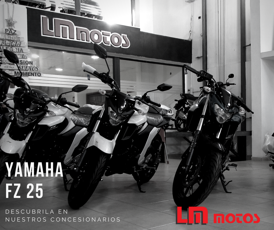 LM MOTOS (@LMMotosoficial) / Posts / X
