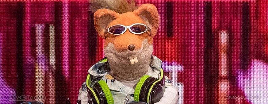 ATVToday's tweet image. A look at some of our favourite Memorable Telly Puppets; atvtoday.co.uk/115215-emu/ #Emu #SpitTheDog #BasilBrush #TheMuppets #TingaAndTucker #Sooty #Zippy #AndyPandy