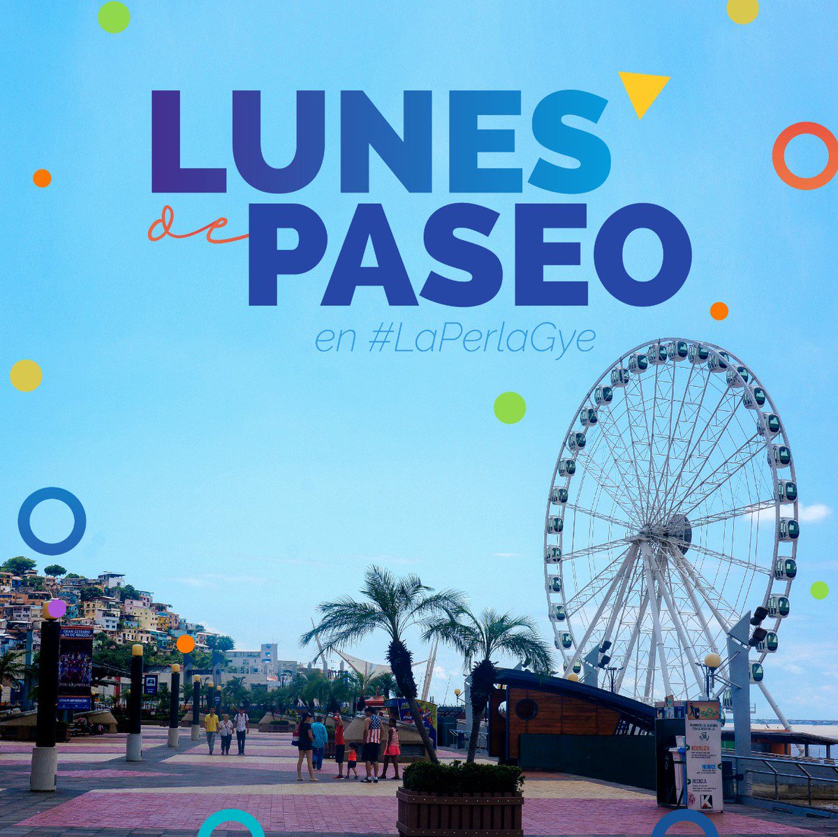 LaPerlaGYE's tweet photo. ¡Buenos días amigos! 
Así despertamos el día de hoy.
¡Los esperamos!

#ÍconoTurístico #ILoveLaPerla #ILoveGye #Guayaquil #GuayaquilEsMiDestino #VisiteGuayaquil #Turismo #FerrisWheel https://t.co/7OL4iWpqWh