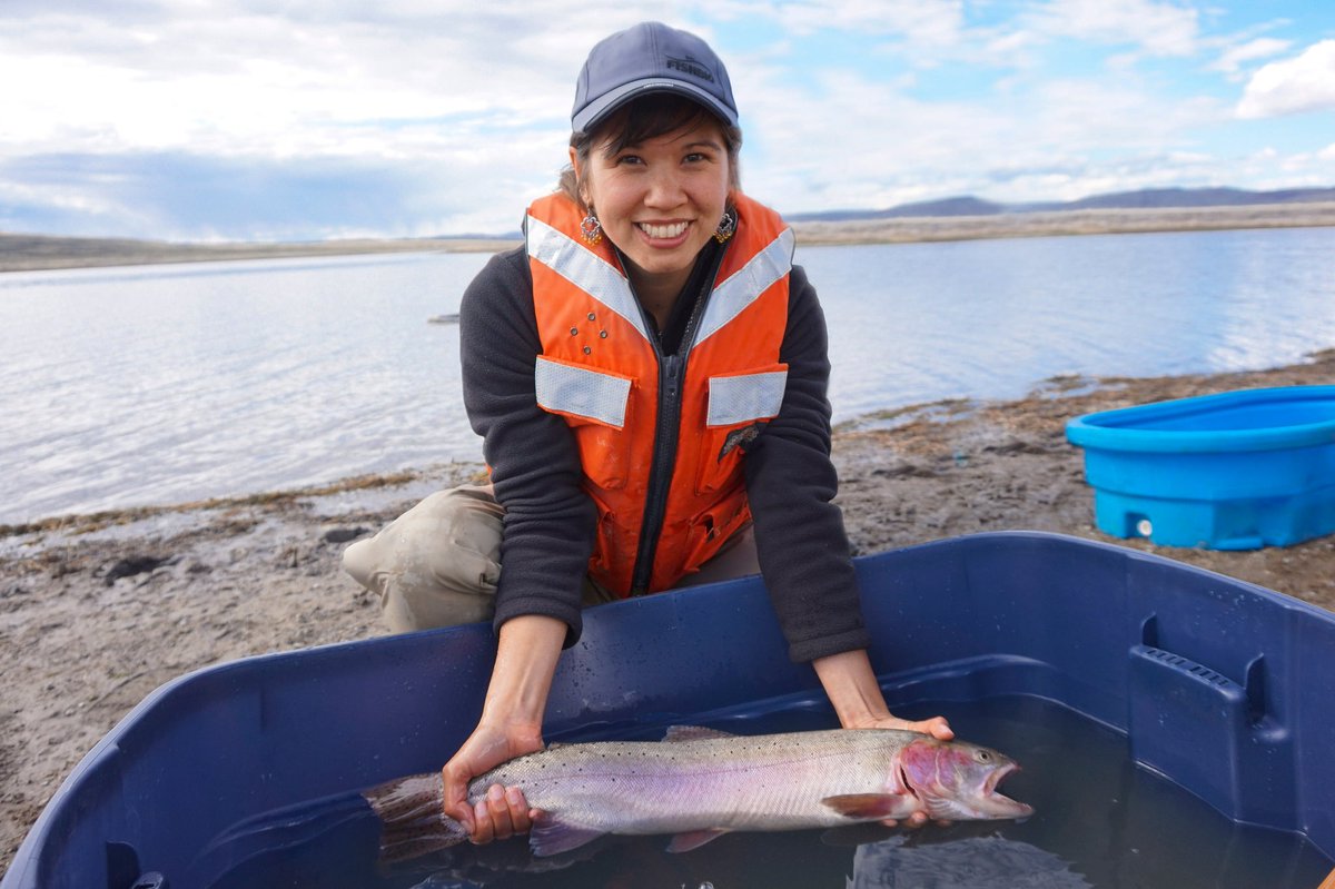 ironloudly's tweet photo. A new #video we made @Fishbiology about the important roles women play in #fisheriesscience – please share with any aspiring #fisheries biologists, especially girls! https://t.co/TVREKMAela #womeninstem #womeninfisheries #gogirls https://t.co/VIVKRiurSK