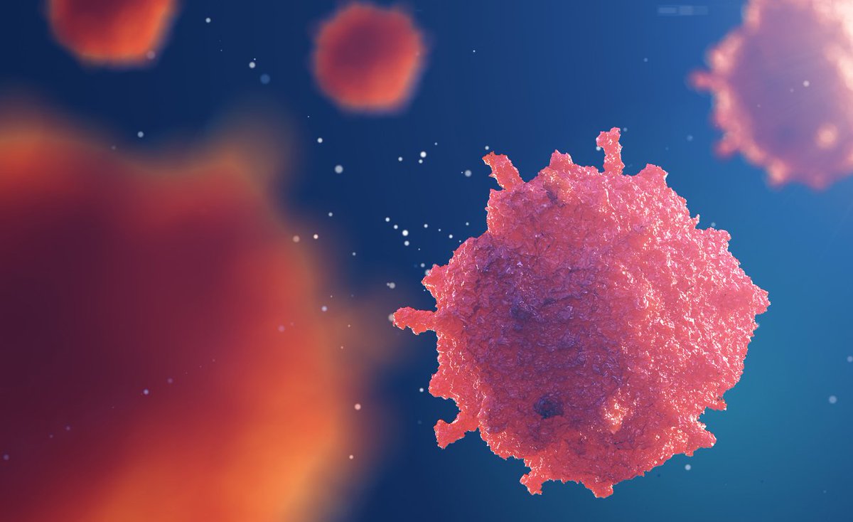 HopkinsMedicine's tweet photo. #Chemo can often make #cancer come back bigger and stronger. But see happens when we kick chemo up a notch with #epigenetics. https://t.co/y6EWrpqN92 https://t.co/lYr3PocSfj
