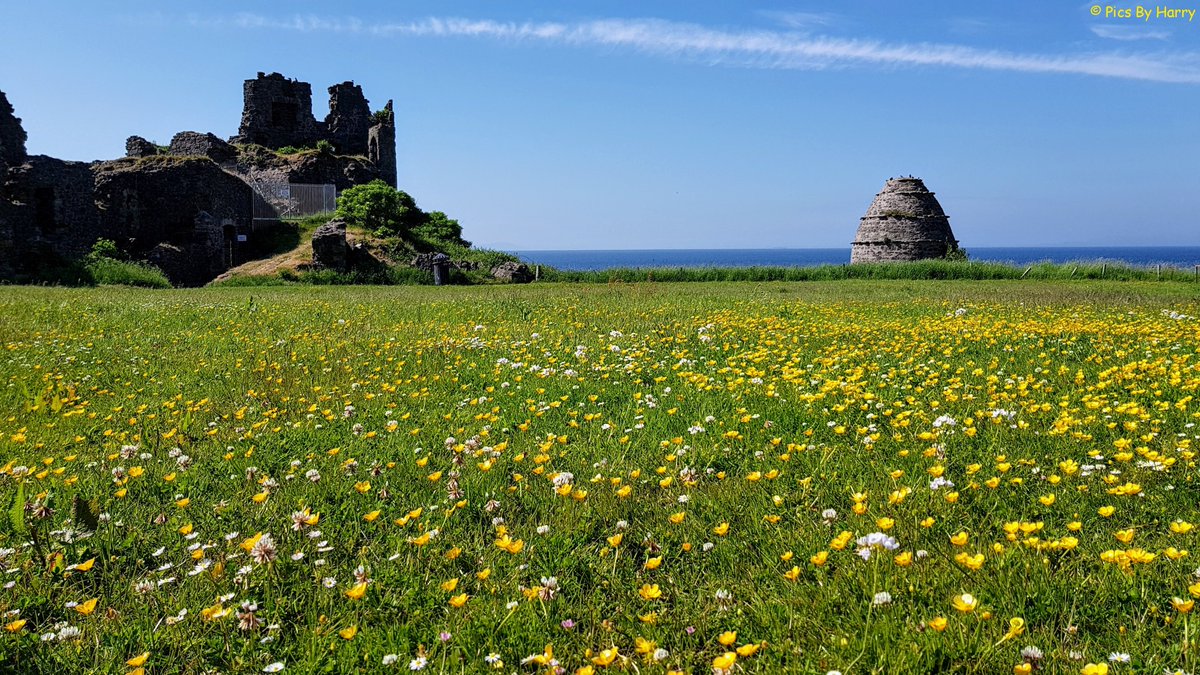 PicsByHarry's tweet photo. Ruins of Dunure Castle surrounded by a wealth of buttercups &amp; daisies today.......... https://t.co/sesL4HsB86