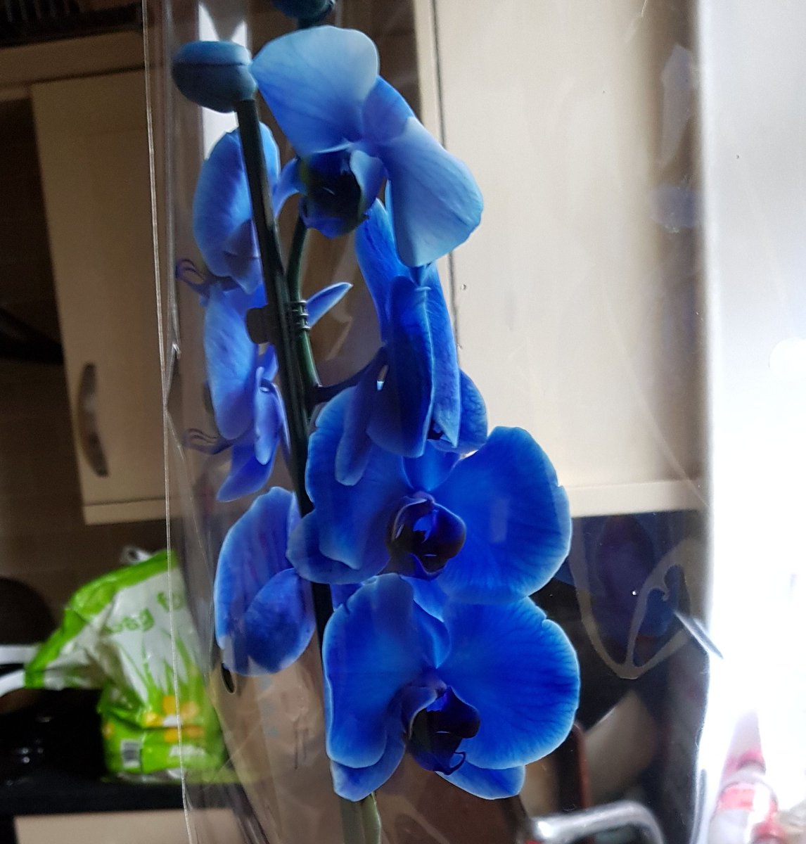 Tesco on Twitter "Hi Katie, I’m sorry the blue had somewhat faded from