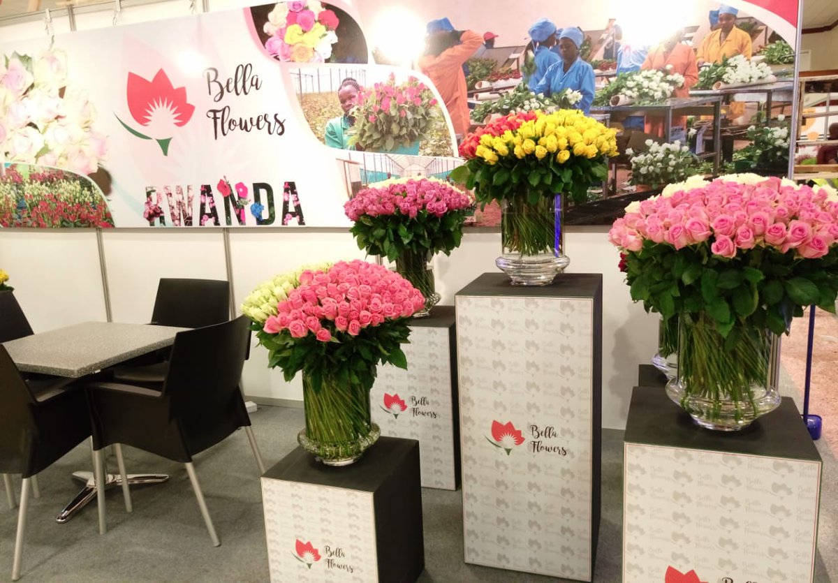 BellaFlowersRw's tweet photo. Bella Flowers is exhibiting at #IFTEX2018 in Nairobi, stop by our booth D4.06 and see beautiful flowers that #Rwanda has to offer to the world, our team will warmly receive you.@RwandAgriExport @Sanurujeni @RDBrwanda @RwandaAgri https://t.co/opUjGbuXy6