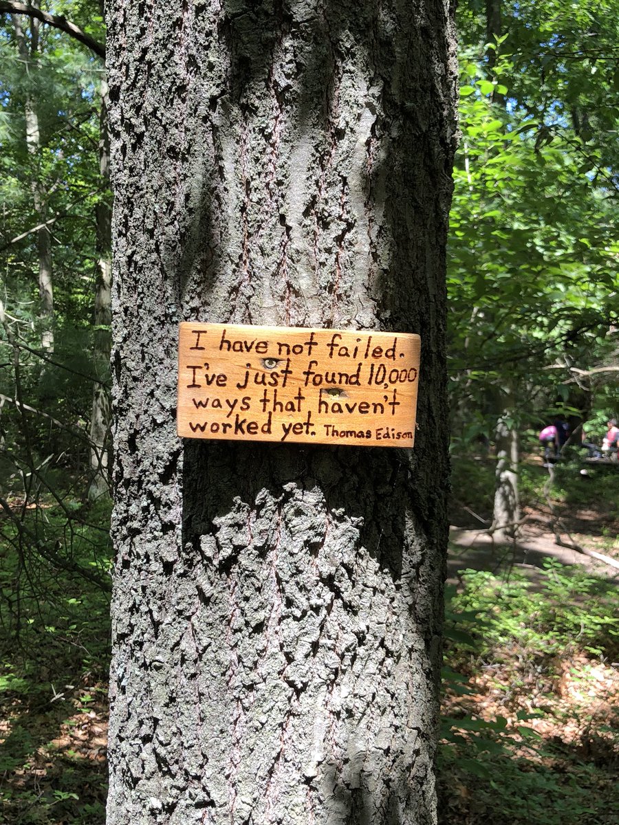 Greg Mayo tweet media