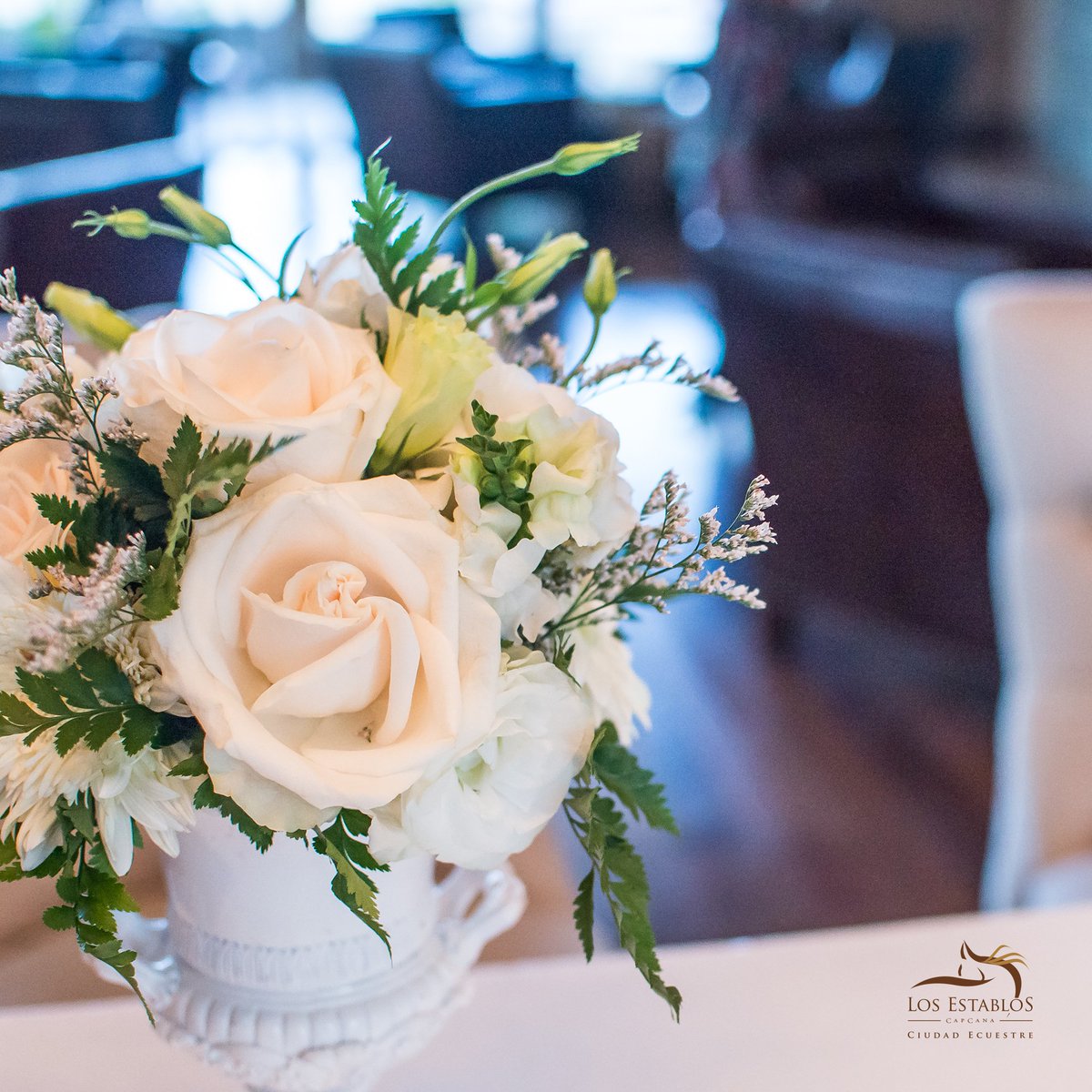LosEstablosRD's tweet photo. Cuidamos cada detalle para que tu evento sea perfecto.
#LosEstablos #ViveLosEstablos #EquineParadise #LosEstablosLifestyle #Capcana #ViveCapCana #Puntacana #RepublicaDominicana https://t.co/sk8uG1imcG