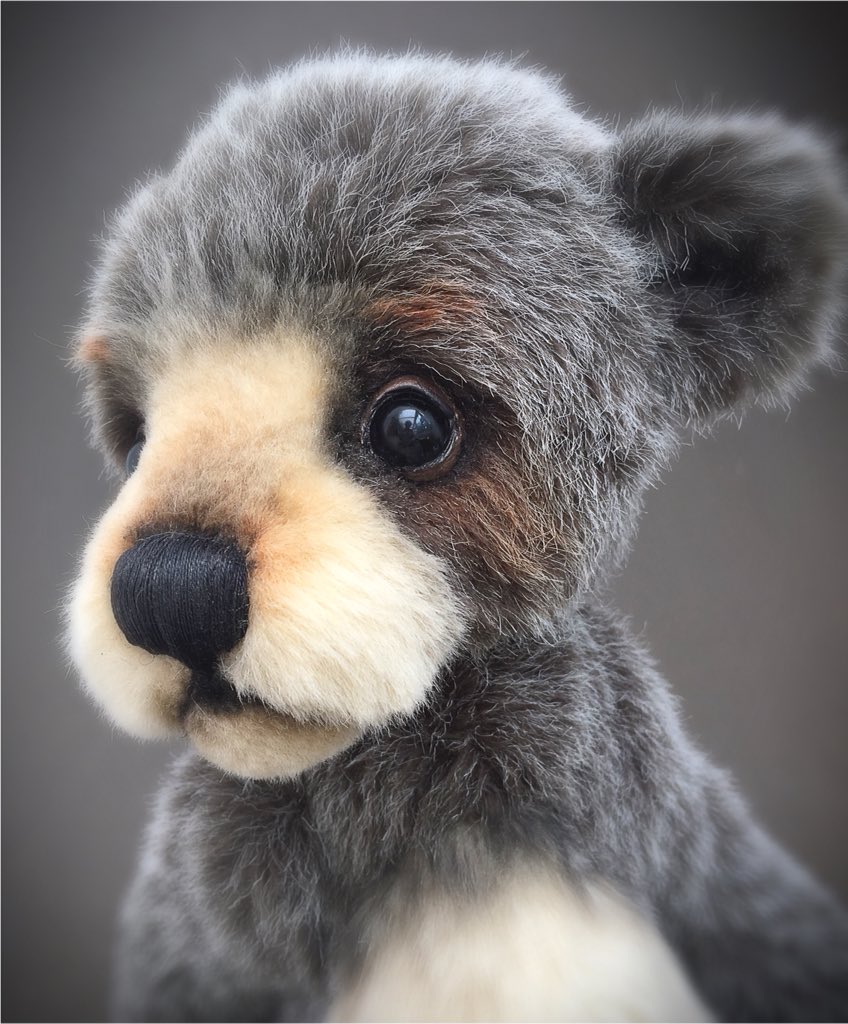 threeoclockbear's tweet image. Wilkie