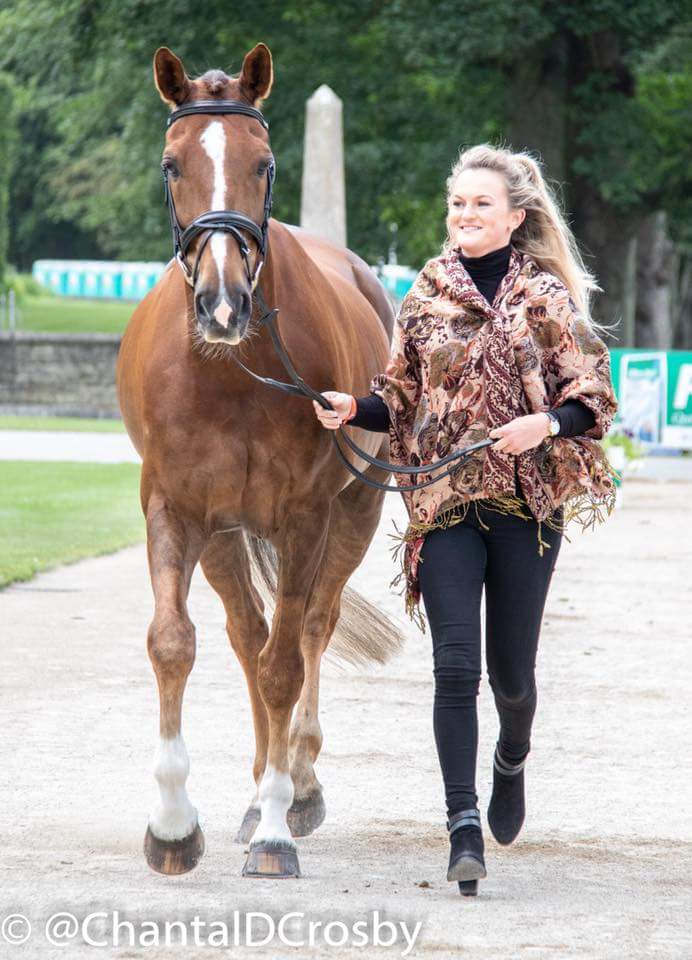 WoodyEventing's tweet image. Trot up✔ so excited to be back! Thank you @ChantalDCrosby for the amazing photos! #bestphotographerever #EBHT #superpossum #fedontopspec 💚💛💚