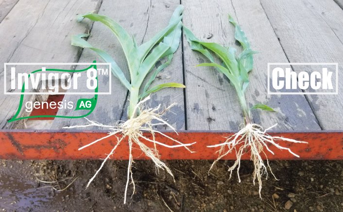 GenesisAgUSA's tweet photo. Invigor 8 doing its thing in Northern Illinois this week. https://t.co/Xn1FgkcQLl https://t.co/fAmqltApAH