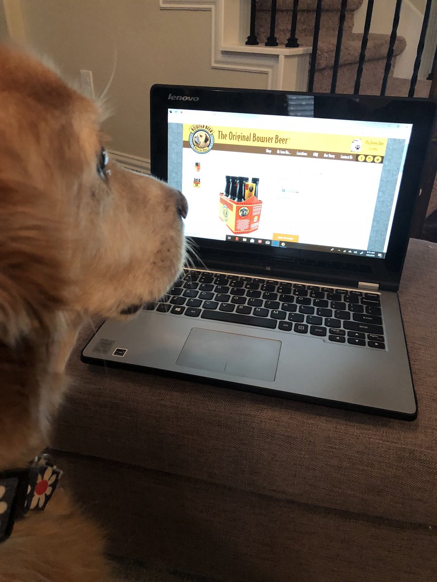 Bowser Beer tweet media