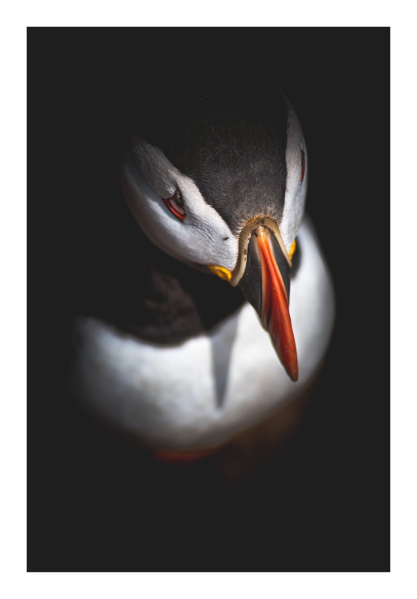 LandPhotoSA tweet picture
