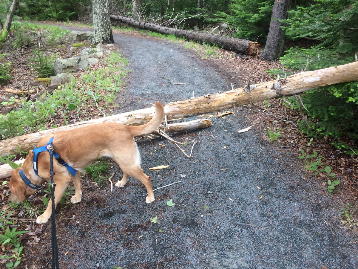 Melinda Lee tweet media