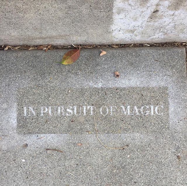 IdeasJam's tweet photo. Street Wisdom ✨
.
📷 @chizpa https://t.co/RGVVvDL5iO https://t.co/7NS0eNzZDL