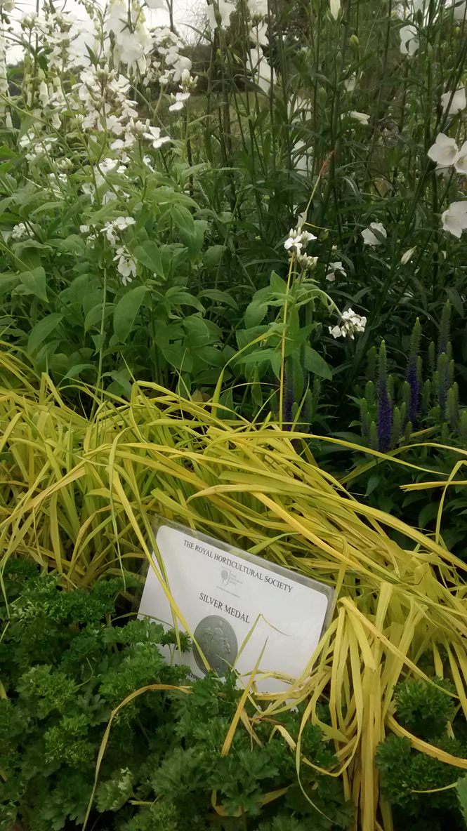 RussAndAli's tweet photo. Very pleased to announce our hard work has been rewarded with a silver medal for our long border at RHS Chatsworth #RisingUp #RHSChatsworth #RHS https://t.co/rLGJjtcsdg