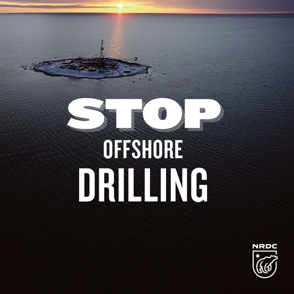 NRDCFedGov's tweet photo. Big shout-out to #OceanChamp @chelliepingree for ensuring marine mammals are there for future generations! #StandForOceans #ProtectOurCoast https://t.co/PUBBO3NRye
