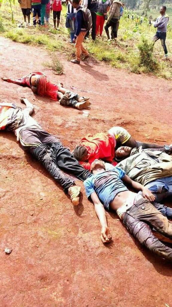 TNtumfor's tweet photo. @antonioguterres @UNPeacekeeping Mr Secretary-general @antonioguterres, how come it this same technology you are talking about, is showing the ongoing #Genocide in #SouthernCameroon, but you have deliberately chosen to give a blind eye and deaf ears to the cry of a people with a right for self determination ? https://t.co/8Xir5NAVUN