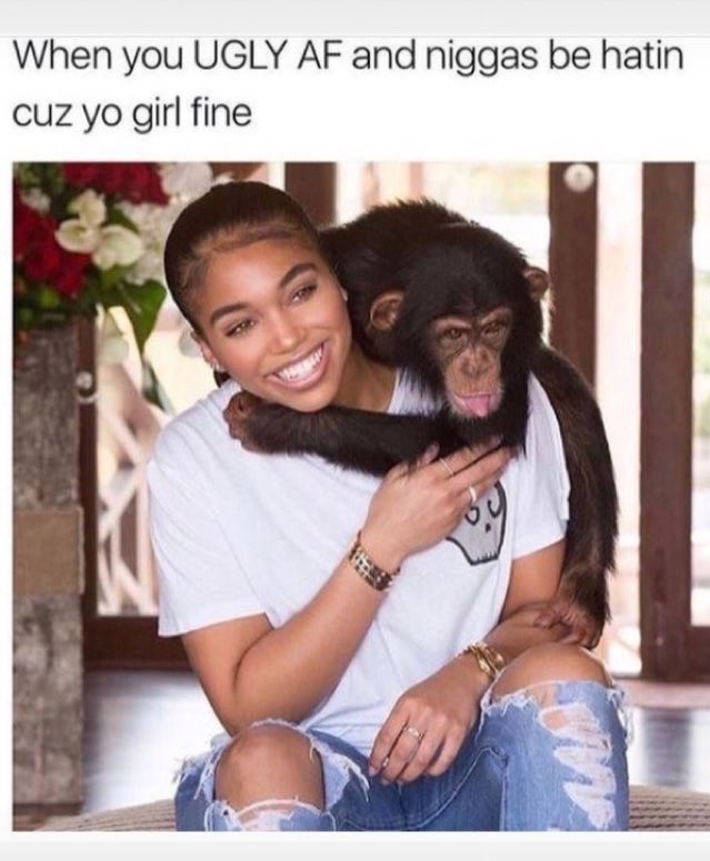 LowLifeZoe's tweet photo. Big mood https://t.co/AjpFIORbZ5