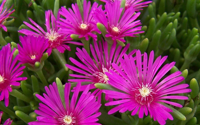 gardenality's tweet photo. Happy #GardeningExerciseDay! 🌱Celebrate the day by getting some fresh air and sun while planting and tending to your garden! Need some planting and gardening tips? https://t.co/FTfETRbXnM has you covered! Browse our #gardening articles for tips, tricks and #garden inspiration! https://t.co/WaiyX0Dqxd