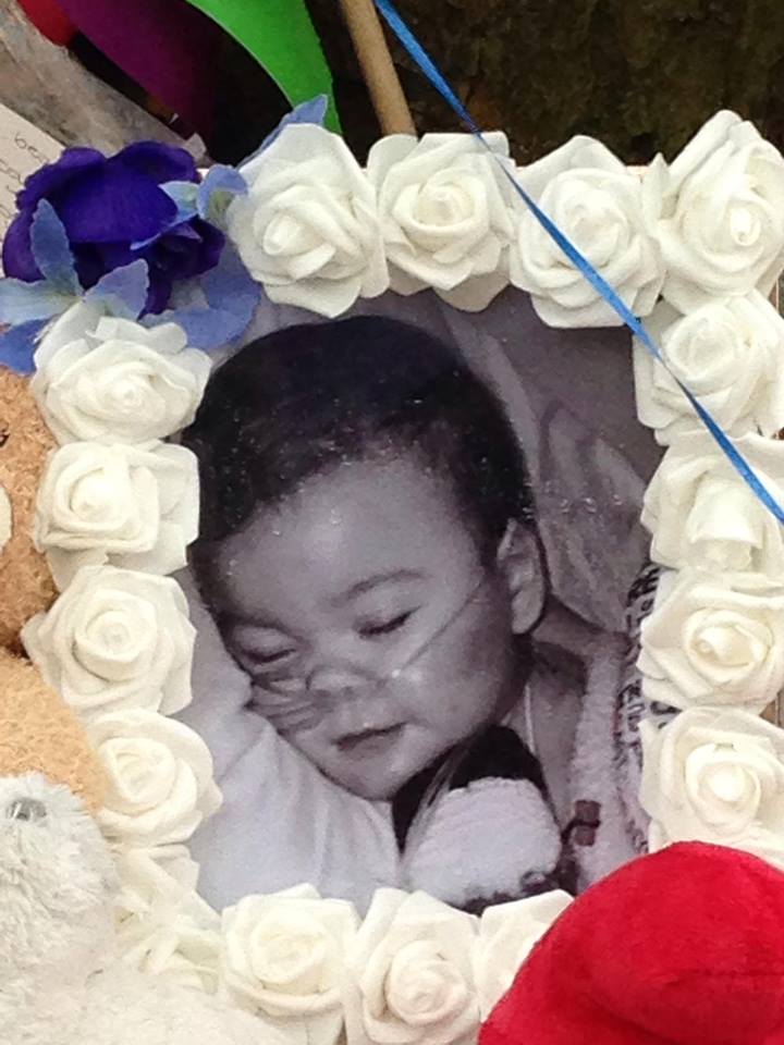 #ALFIESARMY (@alfiesarmy16) on Twitter photo Post your favourite pic of Alfie with #ALFIETAUGHTME and let us know what he taught you. #AlwaysInOurHearts #AlwaysLovedNeverForgotten Post your favourite pic of Alfie with #ALFIETAUGHTME and let us know what he taught you. #AlwaysInOurHearts #AlwaysLovedNeverForgotten