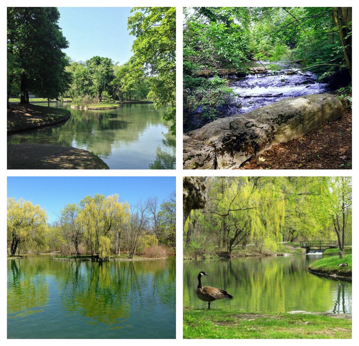 Courtyard_NF's tweet photo. #DufferinIslands is one of Niagara's hidden secrets and the perfect place for nature lovers! These scenic man-made islands are located approximately 1/2 mile south of the Horseshoe Falls and date back to the 1900's. Photo source: Bill Hare #NiagaraFalls  https://t.co/WYbFvVYS9i https://t.co/AE5Thjdqde