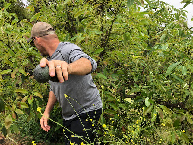 Researchers with the @SageProjectSDSU visited the Santa Margarita Ecological Reserve last week to explore experiential learning and research opportunities. SMER is a 5000-acre <a href="/SDSU/">San Diego State University</a> field station near #Temecula that boasts a river, fruit trees, and wild mountain lion population!