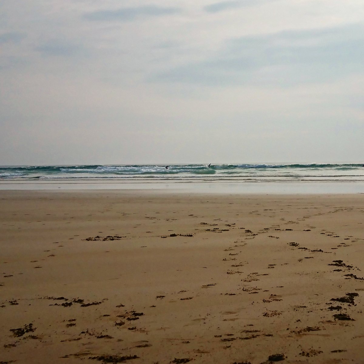 Lollyhancock198's tweet photo. Lovely walk from st columb to mawgan porth Beach today, moo definitely enjoyed the exercise!! #cornwall #mawganporth #beach #surfers #visitcornwall #bestdogever https://t.co/yfyHGVaA2d