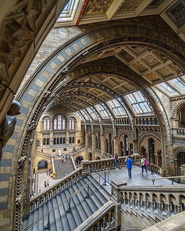 mundode_viagens's tweet photo. Museu História Natural, #Londres ❤
Congrats @steve.pix .
Mais fotos e vídeos incríveis na bio @blogmundodeviagens
.
#travel #holidays #angleofview #view #viagens #ferias #travelblog #wonderfulplaces #turismo #wonderful_places .
Use #map_of_europe #London via @map_of_europe https://t.co/j0yw78pi6A