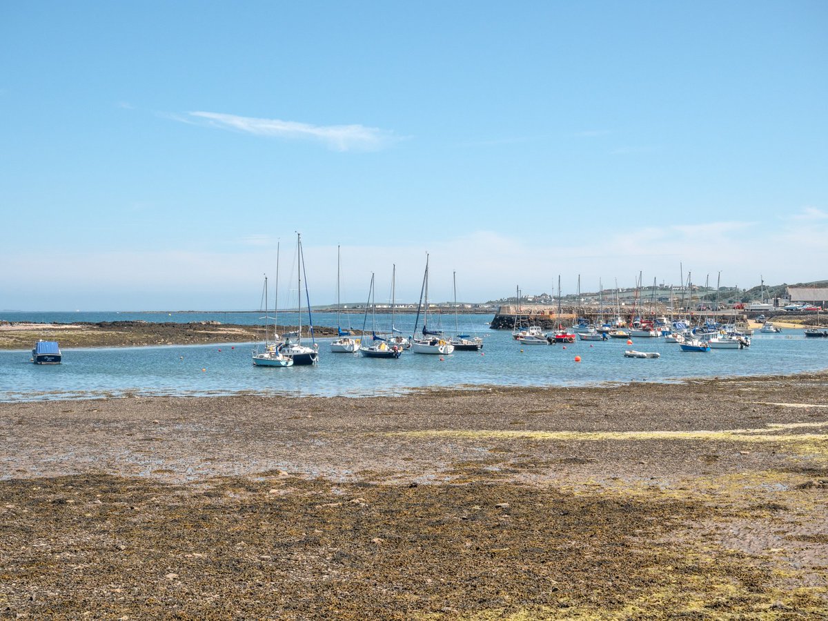 DavesNature's tweet photo. Warm, sunny afternoon today at #Groomsport #Ballymacormick @newslineweather @WeatherCee @angie_weather @barrabest @ScenesOfUlster https://t.co/Zst2OpYJuY