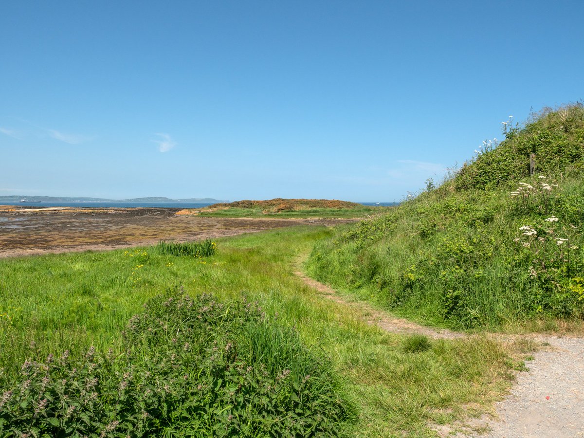 DavesNature's tweet photo. Warm, sunny afternoon today at #Groomsport #Ballymacormick @newslineweather @WeatherCee @angie_weather @barrabest @ScenesOfUlster https://t.co/Zst2OpYJuY