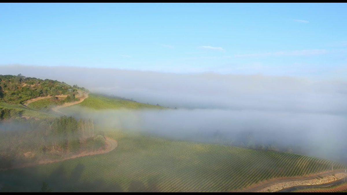 New to Alberta following the success of the <a href="/QuiltWines/">Quilt Wines</a> Napa Valley Cabernet Sauvignon is the Quilt Napa Valley Chardonnay! This wine has a great 90 point score from <a href="/WineSpectator/">Wine Spectator</a>. CSPC 804808 buff.ly/2xNT0k9