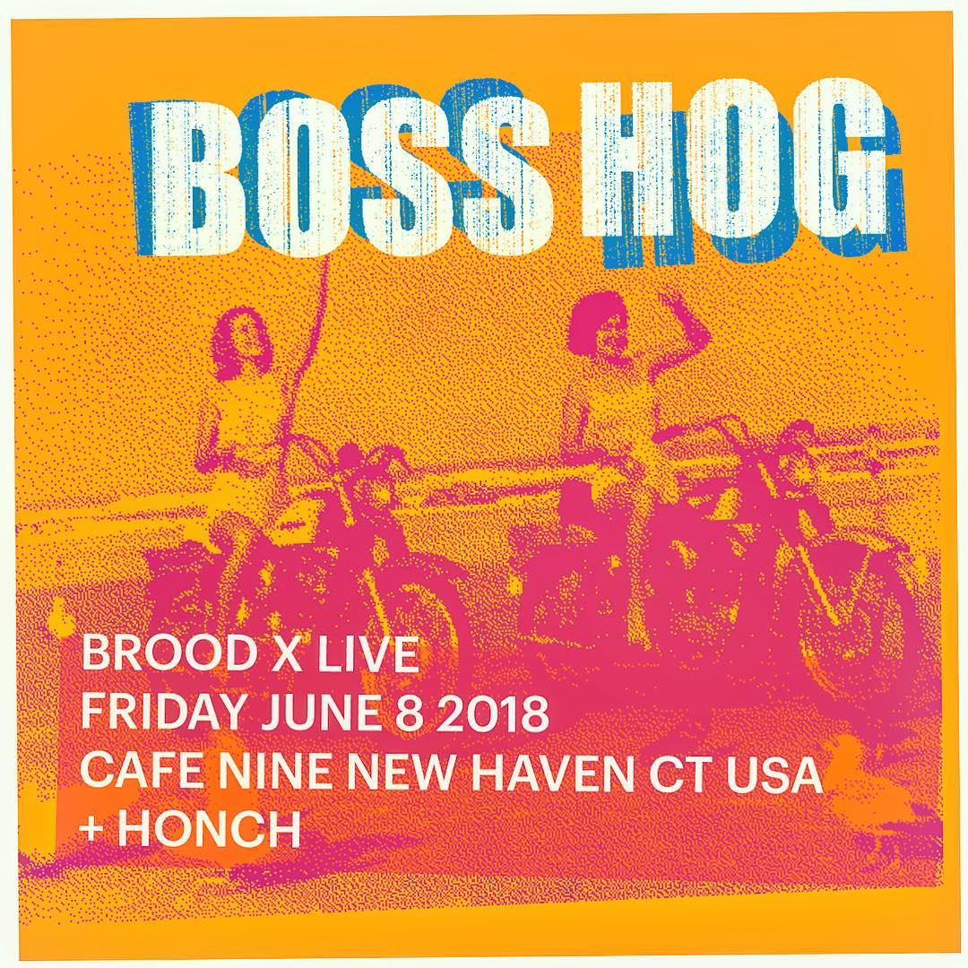 popcatastrophe's tweet photo. .@BossHogBitches - @cafenine, New Haven, Connecticut (June 8, 2018)
w/ Honch
https://t.co/UWB6JuX8fO 
#BossHog #RockAndRoll #CristinaMartinez #JonSpencer #MickeyFinn #HollisQueens #JensJurgensen #cafenine #newhaven #connecticut #honch https://t.co/CeCffmDHRu