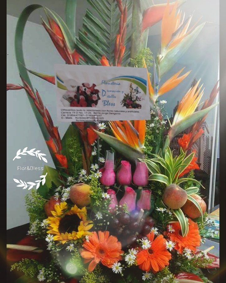 floristeria_d's tweet photo. 🍃🌺Hermoso Arreglo Natural en flores tropicales🌺🌾🍃Te acompañamos a expresar tus sentimientos con flores! https://t.co/hJwOlVb6zk