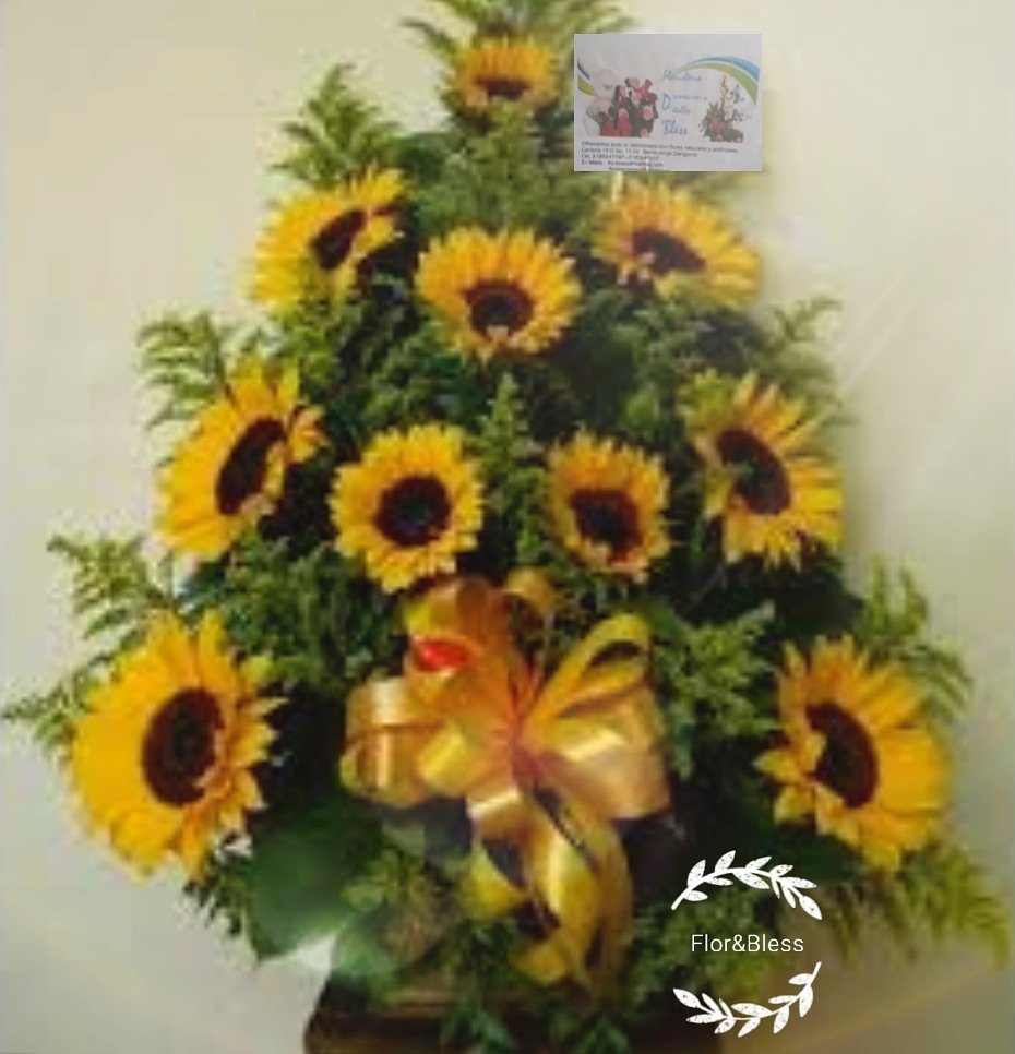 floristeria_d's tweet photo. 🍃🌻Hermoso Arreglo Natural en Girasoles🌻🍃Te acompañamos a expresar tus sentimientos con flores! https://t.co/cEXVf5sGxD