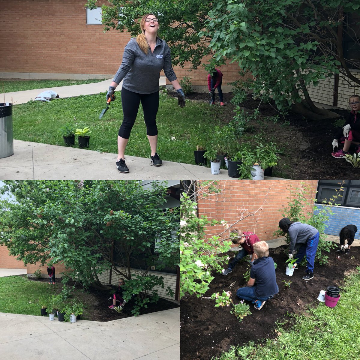 Great job on the Lisgar gardens friends! <a href="/MarleeFerguson/">Marlee Ferguson</a> #experiential learning #Grade3s #hwdsbfos3
