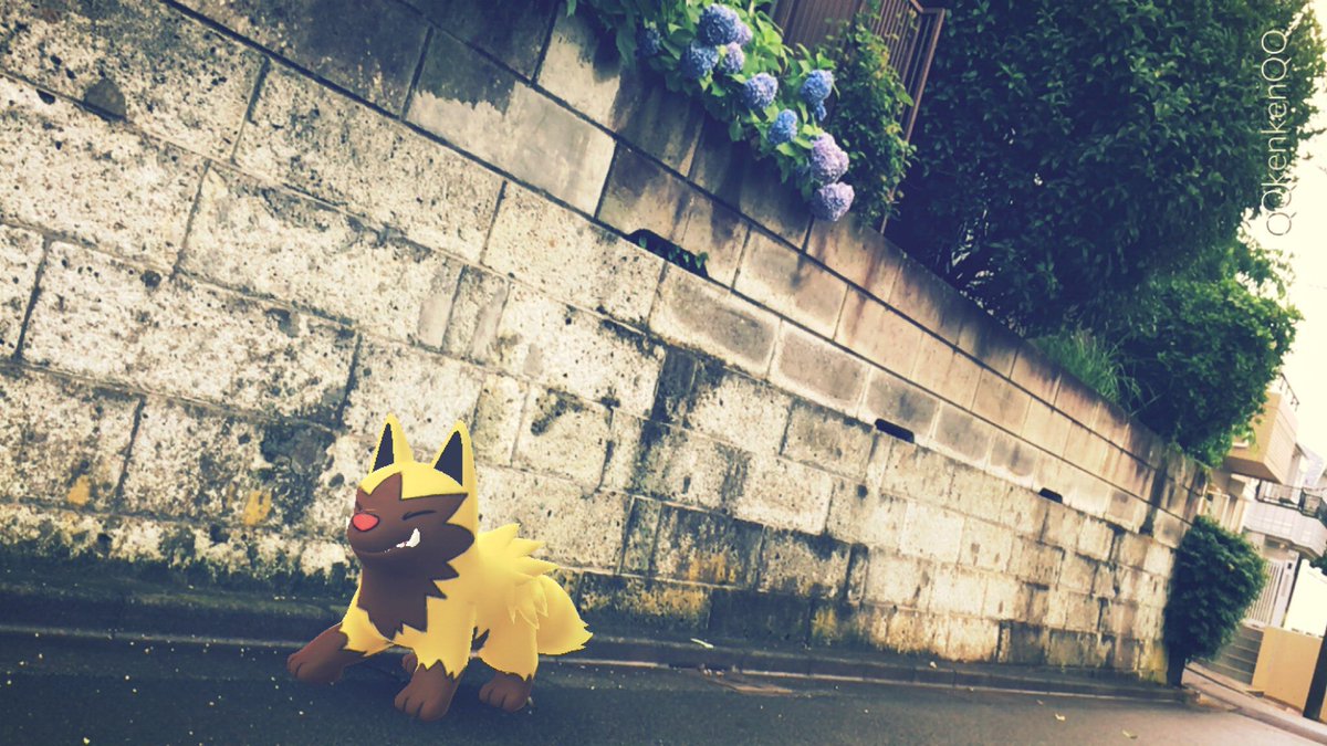 色違いポチエナ