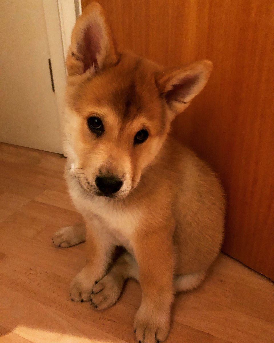 𝐋𝐞𝐜𝐭𝐮𝐫𝐞𝐫 𝐒𝐚𝐫𝐚𝐡 tweet media