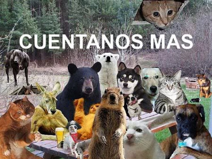 RodrigoSie7e's tweet photo. @informativost5 stoi ansiOSO cuentanos más @VellosoVictor https://t.co/QE2XyFpdJI