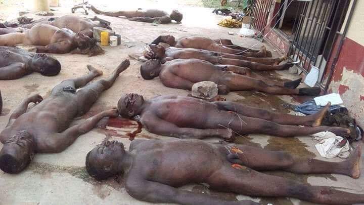 ejikeukwuez1's tweet image. Buhari Biafra Must be free from Hausa fulani stopkillingBiafra British Government GOD BLESS BIAFRA